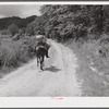 Rural mailman taking packages and saddlebags of letters, which have been transferred from a wagon which cannot go up the bad side roads and creek beds, to the mountain families in this isolated area. Near Morehead, Kentucky.