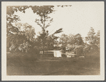 View of Grangebel Park. Riverhead, Riverhead