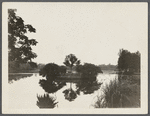 View of Grangebel Park. Riverhead, Riverhead