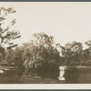 View of Grangebel Park. Riverhead, Riverhead