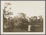 View of Grangebel Park. Riverhead, Riverhead