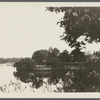 View of Grangebel Park. Riverhead, Riverhead