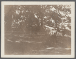 Sylvester family burial place. Slave quarters in background. Shelter Island, Shelter Island