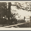 Sylvester family burial place. Shelter Island, Shelter Island