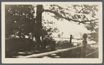 Sylvester family burial place. Shelter Island, Shelter Island