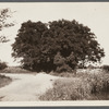 View of a private road. Shelter Island, Shelter Island