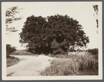View of a private road. Shelter Island, Shelter Island