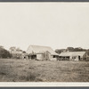 Miller farm. Dunemere Lane. East Hampton, East Hampton