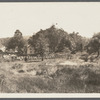 View of farm. Cold Spring Harbor, Huntington