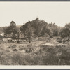 View of farm. Cold Spring Harbor, Huntington