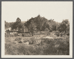 View of farm. Cold Spring Harbor, Huntington