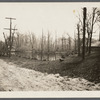 View of Ice Pond (part of Nissequogue River). South side Old Country Road (road to Commack). Hauppauge, Islip