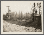 View of Ice Pond (part of Nissequogue River). South side Old Country Road (road to Commack). Hauppauge, Islip