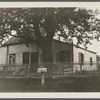 House. North side Maplewood Ave., east of Depot Road. South Huntington, Huntington