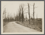 View of L. Davis house. West side road to Middle Island, a little south of Nathaniel Tuthill house. Yaphank, Brookhaven