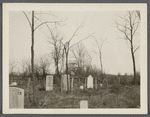 Old Burying Ground. East side of road to Middle Island, about 200ft north of Isaac Mills house. Tonbstones 1774-1825. Yaphank, Brookhaven