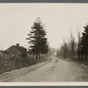 View of Middle Country Road at Middle Island, looking west. Daniel Brewster house on left. Pfeiffer's General Store and P.O. on left (in the distance). Middle Island, Brookhaven