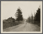 View of Middle Country Road at Middle Island, looking west. Daniel Brewster house on left. Pfeiffer's General Store and P.O. on left (in the distance). Middle Island, Brookhaven