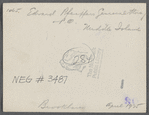Edward Pfeiffer's General Store and P.O. North side Middle Country Road. Middle Island, Brookhaven