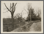 View of house. West side road to Middle Island, at north end of Yaphank. Yaphank, Brookhaven