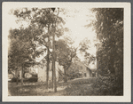 House. West side of east road from mill pond to village. Setauket, Brookhaven