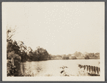 View of Satterly's Mill Pond. Setauket, Brookhaven