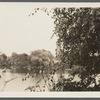 View of Satterly's Mill Pond. Setauket, Brookhaven