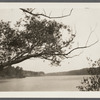 View of Terrell River, later called for a time (1882) Barnes' Mill Pond. Looking south from Montauk Highway. East Moriches, Brookhaven