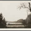 View of Terrell River, later called for a time (1882) Barnes' Mill Pond. Looking south from Montauk Highway. East Moriches, Brookhaven