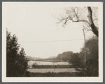 View of Terrell River, later called for a time (1882) Barnes' Mill Pond. Looking south from Montauk Highway. East Moriches, Brookhaven