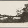 View of Terrell River, later called for a time (1882) Barnes' Mill Pond. Looking south from Montauk Highway. East Moriches, Brookhaven
