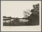 View of Terrell River, later called for a time (1882) Barnes' Mill Pond. Looking south from Montauk Highway. East Moriches, Brookhaven
