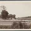 View of A.K. Smith's Duck Farm on Terrell River. East Moriches, Brookhaven