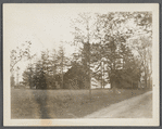 View of outbuildings. On grounds of John Scudder Havens residence, between house and Terrell River. East Moriches, Brookhaven