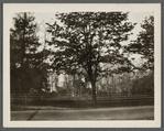 John Scudder Havens house. Just south of Montauk Highway, west of Terrell River and gristmill. East Moriches, Brookhaven