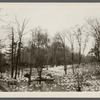 Duck farm. Forge River, just west of Hallock's P.O. and store, southside Montauk Highway. Moriches, Brookhaven