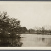 View of Pine Grove Lake. At Hallock's P.O., looking east. Moriches, Brookhaven