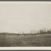 View of N. Norton farm. Back from Middle Country Road, west of French house and cemetery. Selden, Brookhaven