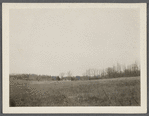 View of N. Norton farm. Back from Middle Country Road, west of French house and cemetery. Selden, Brookhaven