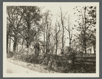 Daniel Hegeman house. East side Hegemans Lane, Cedar Swamp. Glen Head, Oyster Bay