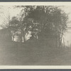 View of left side of road and houses. Oyster Bay, Oyster Bay