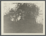 View of left side of road and houses. Oyster Bay, Oyster Bay