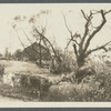 View of farm. West side Jerusalem Ave. and Cedar Swamp Road. A.J. Starkins (1873). Jericho, Oyster Bay