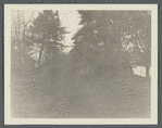 House. Oyster Bay, Oyster Bay
