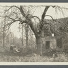 James Simonson house. North side Cedar Swamp Road. Brookville, Oyster Bay