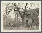 James Simonson house. North side Cedar Swamp Road. Brookville, Oyster Bay
