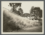 Brookville Cemetery. North Side North Hempstead Turnpike, at junction of Cedar Swamp Road. Brookville, Oyster Bay