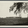 View of mansion in the distance. On the road from Roslyn to Brookville, near Greenvale. Greenvale, Oyster Bay
