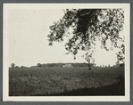 View of mansion in the distance. On the road from Roslyn to Brookville, near Greenvale. Greenvale, Oyster Bay