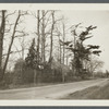 Capt. Seaman house, alias Caroline Hawkins house. East of Brookhaven P.O. South Haven, Brookhaven